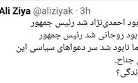 علی ضیا: جوانی‌مان با احمدی‌نژاد و روحانی رفت