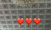 «نورگل یشیل‌چای» به ایران آمد