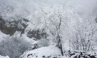 کاهش ۱۰درجه‌ای دما و ادامه بارش‌ها