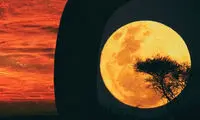 مینی شعر (244)