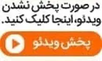 شترمرغ‌های سرگردان در جاده تبریز- آذرشهر!