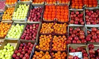 قیمت‌ میوه به زودی کاهش می‌یابد
