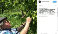 تازه‌ترین عکس‌ از محمدرضا شجریان؛ همین امروز