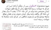 پاسخ فرزند شهید تندگویان به ادعای دختر صدام