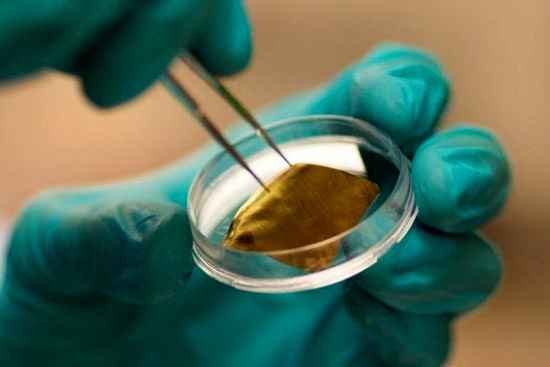 تشخیص سلول‌های سرطانی با نانوذرات طلا