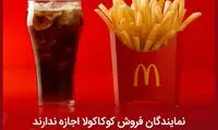 دانستنی‌های جالب؛ از تولید کاغذ با مدفوع فیل تا چالش نام طوفان ها!