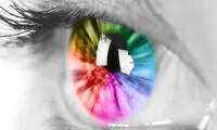 رنگ‌ ها را چگونه می‌ بینیم