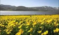 عکس؛ طبیعت زیبای دریاچه نئور