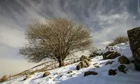 عکس: طبیعت زمستانی رومشگان