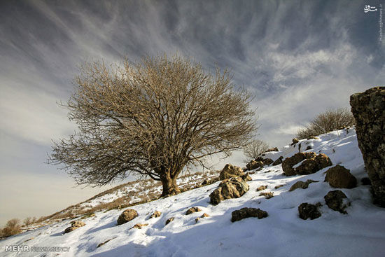 عکس: طبیعت زمستانی رومشگان