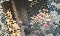 انتشار نامه‌های خصوصی کیارستمی خبرساز شد