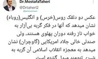 نماینده مجلس، سفرای لندن و مسکو را دلقک نامید