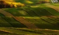 نتیجه 20 سال عکاسی از مزارع اروپایی!