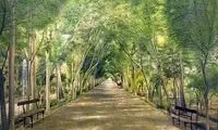 جادوی رنگ‌ها (37)
