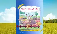 پاراگراف کتاب (98)