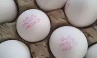 تخم‌مرغی از آینده!
