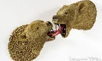 گلوله، همیشه برای کشتن نیست +عکس