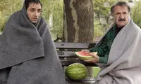 «لیسانسه ها» از شنبه مهمان خانه ها می شود