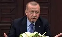 اردوغان: به اراضی سوریه چشم طمع نداریم