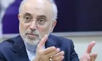 صالحی: بن‌بست برجام در حال شکسته‌شدن است