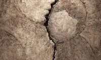 «لای‌‌لای کرماشانِم»؛ پوستری برای زلزله زدگان