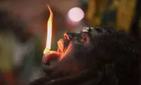 عکس روز نشنال جئوگرافیک؛ زبان آتش