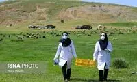 توصیه به افرادی که برای تزریق واکسن عجله دارند