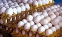 قیمت جدید تخم‌مرغ اعلام شد