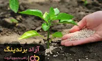 با کود به تمام خیال‌هایم خاتمه دادم 