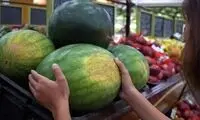با این غذاها در تابستان خنک بمانید