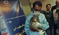 عاقبت خوش میمون‌های فضانورد ایرانی