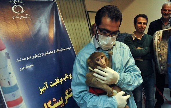 عاقبت خوش میمون‌های فضانورد ایرانی