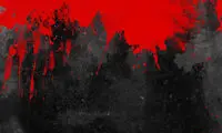 مردی که به عروسی دعوت نشد، خون به پا کرد