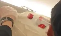 کشف مار در هواپیمای مسافربری منجر به هرج و مرج شد