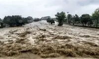 ویدئو تلخ از گرفتار شدن یک هموطن در سیل دبی 