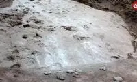 کشف ردپای دایناسورهایی که هم‌اندازه «مرغ» بودند