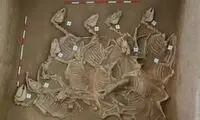 کشف یک گودال عجیب با اسکلت ۱۲۰ اسب مرده