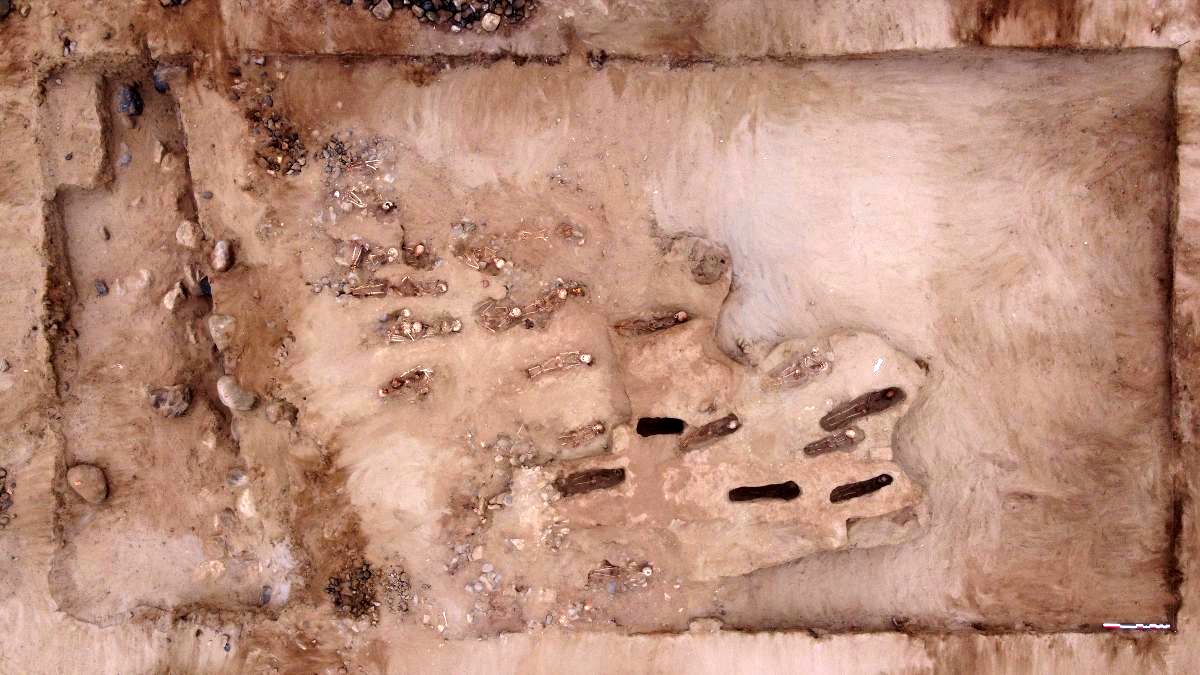 کشف جسد 76 کودک با قلب‌های کنده شده در یک حفاری