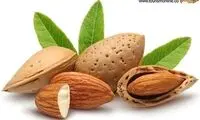 خواص شگفت‌انگیز بادام را بشناسید