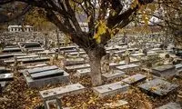 قیمت باورنکردنی دفن هر کیلو اعضای قطع شده بدن