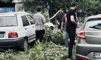 تصاویرِ پربازدید از خسارت طوفان مهیب در تهران