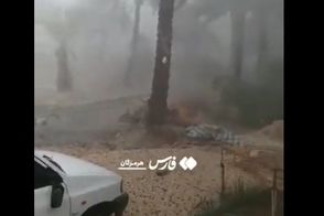 باد شدید، زندگی در این نقطه ایران را مختل کرد