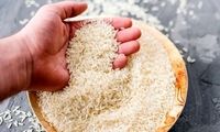افزایش صادرات برنج پاکستان به ایران