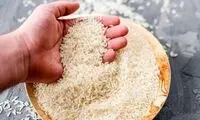 افزایش صادرات برنج پاکستان به ایران