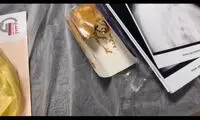 ماجرای دردناک و خونین کیک‌خوری یک شهروند