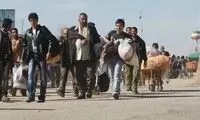 عکس خبرساز از یک سفره‌خانه ویژه اتباع در تهران
