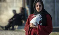 یک خانم نظافتچی با رحم اجاره‌ای از پایان دنیا جلوگیری می‌کند