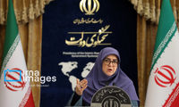 مهاجرانی: خروج اتباع غیرمجاز خواست مردم است
