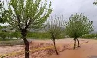 بارندگی ۳ سد بزرگ را در این استان سرریز کرد