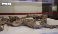 تصاویری از تنها مومیایی نمکی جهان در ایران